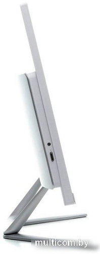 Моноблок ТЕСЛА Z24W 2116500