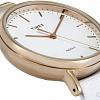 Наручные часы Timex TW2R49100