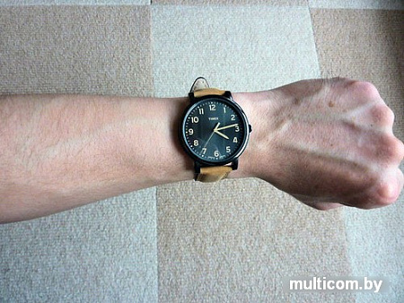 Наручные часы Timex T2N677
