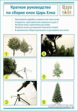 Ель Царь Елка Русская красавица 1.8 м