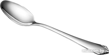 Набор чайных ложек Nadoba Vanda 711613