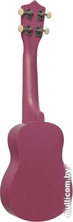 Укулеле Terris JUS-10 VIO