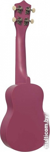 Укулеле Terris JUS-10 VIO