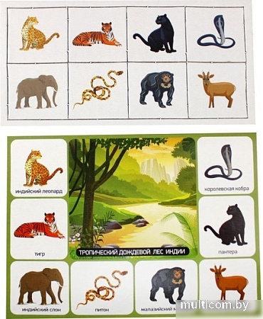 Развивающая игра Десятое королевство Кто где живет? 00078