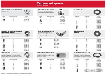 Шайба Зубр 303800-03
