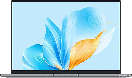 Ноутбук HONOR MagicBook X16 2025 BRG-385 5301ALXS