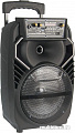 Мини-система Eltronic HX0813