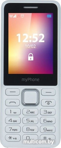 Мобильный телефон MyPhone 6310 (белый)