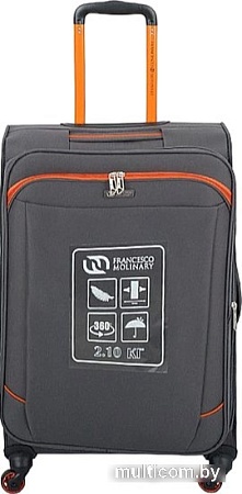 Чемодан-спиннер Francesco Molinary 270-29111/3-24 (серый)