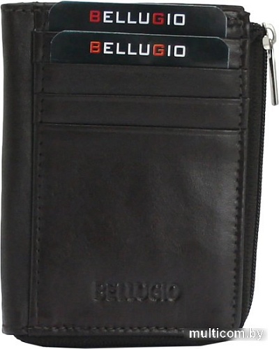 Кредитница Bellugio AU-10R-015 (коричневый)