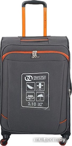 Чемодан-спиннер Francesco Molinary 270-29111/3-24 (серый)