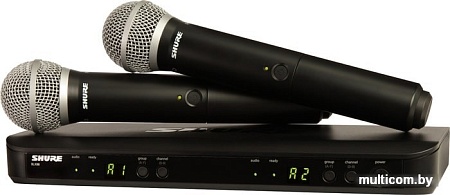 Микрофон Shure BLX288E/SM58 M17