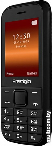 Мобильный телефон Prestigio Wize G1 (черный)