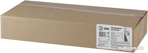 Городской фонарь ЭРА SPP-5-80-5K-W