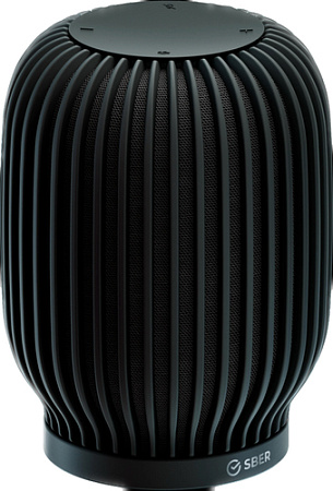Умная колонка SberDevices SberBoom (черная материя)