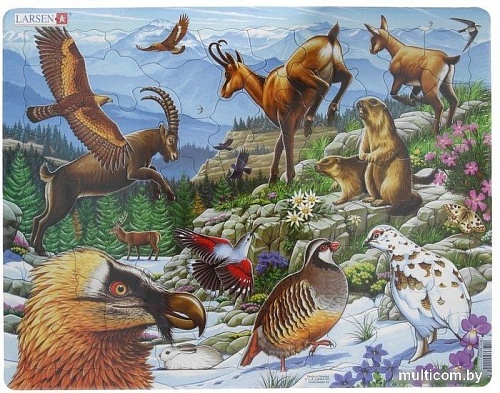 Пазл Larsen Альпы FH12