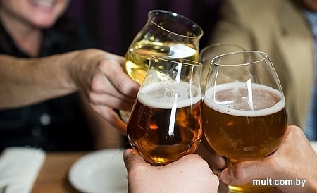 Набор бокалов для пива Luigi Bormioli Birrateque IPA white IPA 11825/02