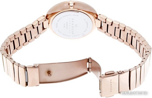 Наручные часы Skagen SKW2227