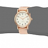 Наручные часы Timex TW2R59900