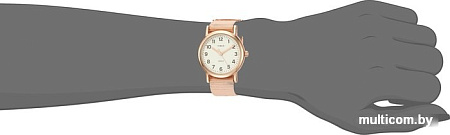 Наручные часы Timex TW2R59900