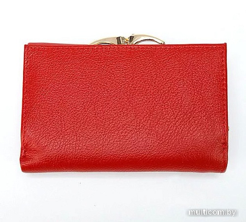 Кошелек Poshete 827-8831-1-RED (красный)