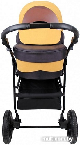 Универсальная коляска Alis Berta 20 (2 в 1, Be 26)