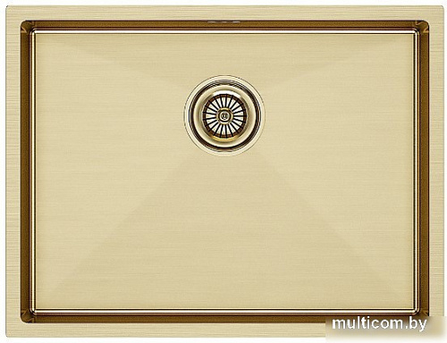 Кухонная мойка Paulmark PM215844-BG