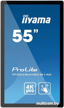 Интерактивная панель Iiyama ProLite TF5539UHSC-B1AG
