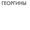 Книга издательства Inspiria. Черные георгины (Дзанетти Ребекка)