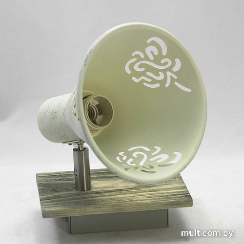 Спот Lussole McConnico LSP-8058