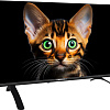 Телевизор Topdevice 42&amp;quot; Frameless BS04 (черный)