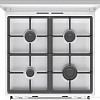 Кухонная плита Gorenje GKS6C71WF