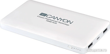 Портативное зарядное устройство Canyon CNS-TPBP15W