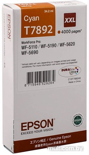 Картридж Epson C13T789240