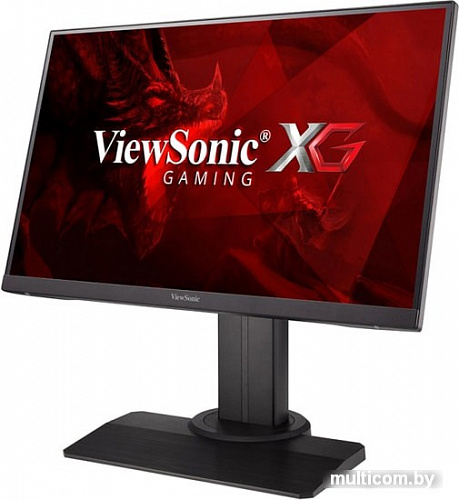 Монитор ViewSonic XG2405