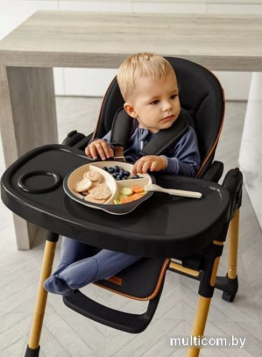 Высокий стульчик Amarobaby Elegant AB23-23EL/09 (черный)
