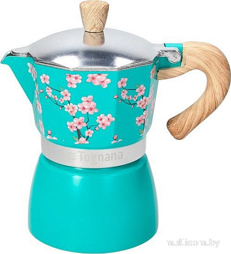 Tognana Japan Collection V44300AJAPA (бирюзовый)