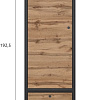 Шкаф распашной BRW Loft REG1D1S (дуб вотан/черный)
