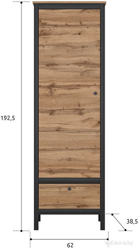 Шкаф распашной BRW Loft REG1D1S (дуб вотан/черный)