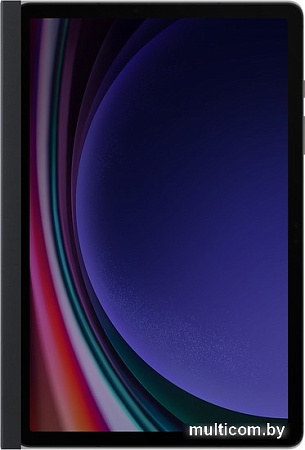 Чехол для планшета Samsung Privacy Screen Tab S9 (черный)