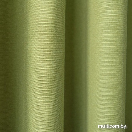 Комплект штор Pasionaria Билли 340x230 (2 шт, травяной)