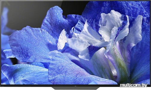 Телевизор Sony KD-65AF8