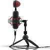 Микрофон Ritmix RDM-230 USB Eloquence