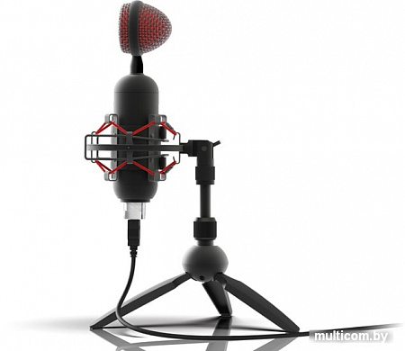 Микрофон Ritmix RDM-230 USB Eloquence