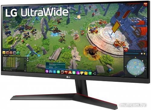 Монитор LG UltraWide 29WP60G-B