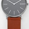 Наручные часы Skagen SKW6429