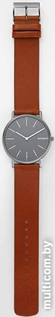 Наручные часы Skagen SKW6429
