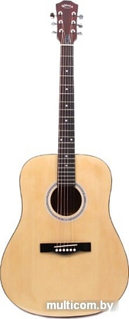 Акустическая гитара Aileen AF29H