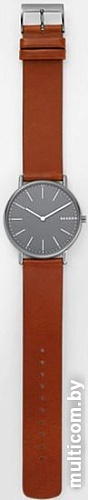 Наручные часы Skagen SKW6429