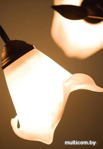 Подвесная люстра Lampex Klos 3 020/3 B+M